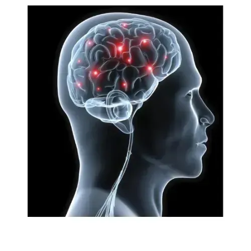 NeuroPrime reviews